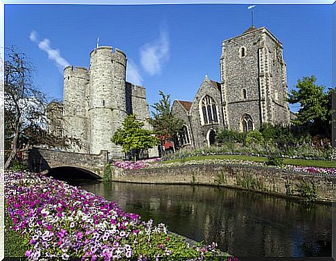 River Stour in Canterbury