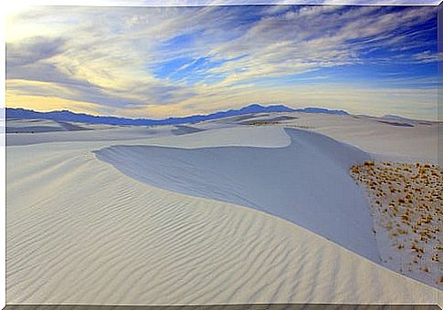 White Sands Desert