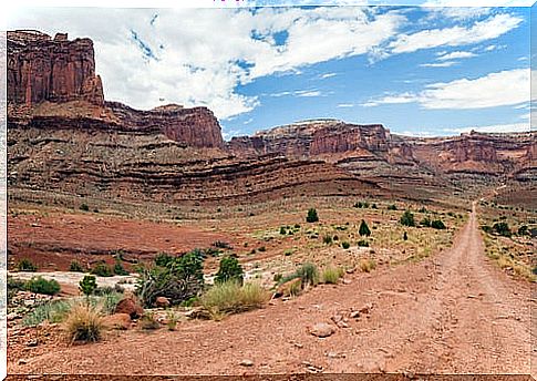 Colorado desert