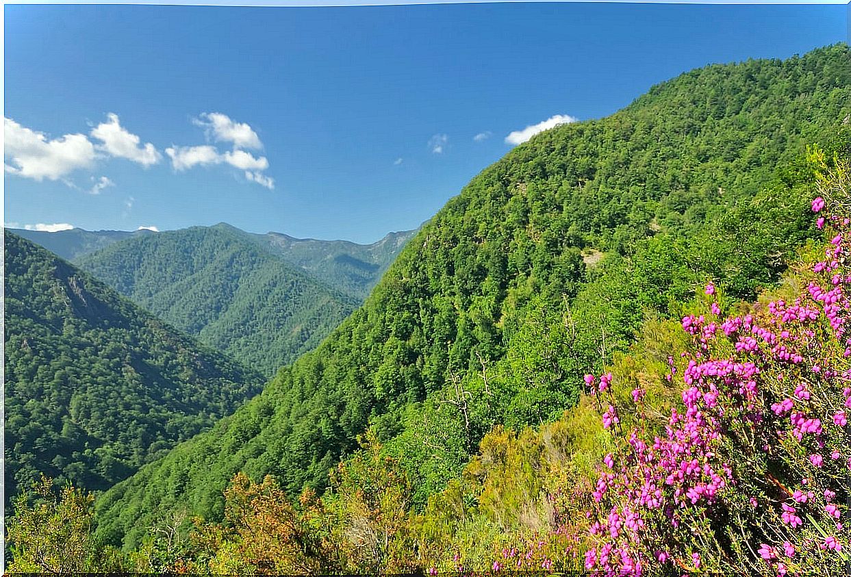 The 6 natural parks in Spain that you must visit