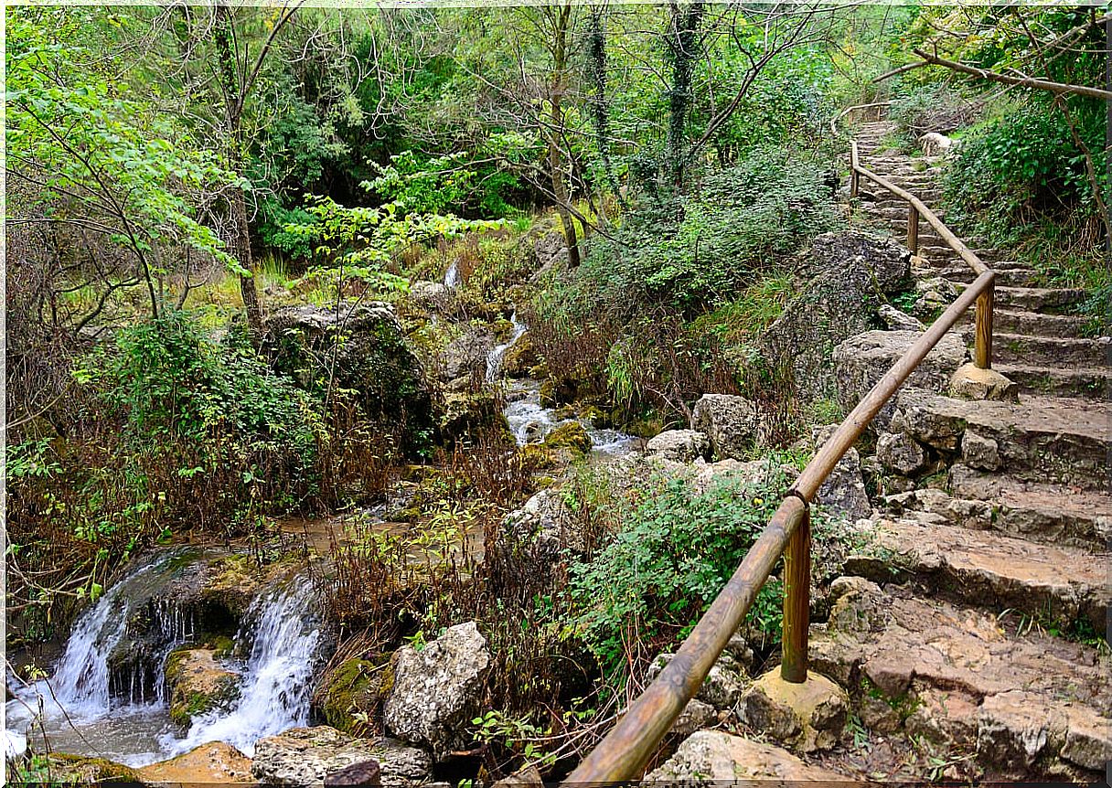 The Calares del Río Mundo represent one of the best natural parks in Spain.