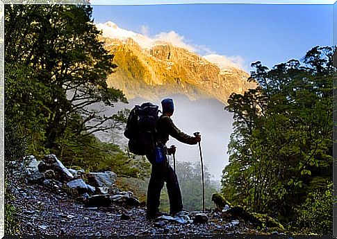 Hiker looking at the landscape