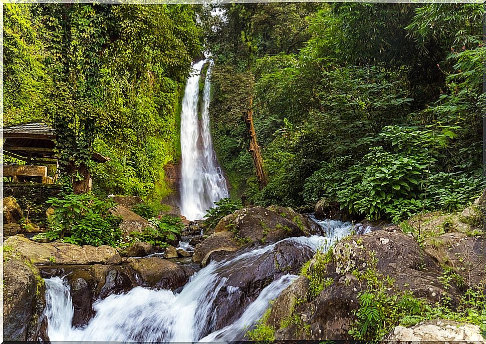 Gitgit waterfall in Bali