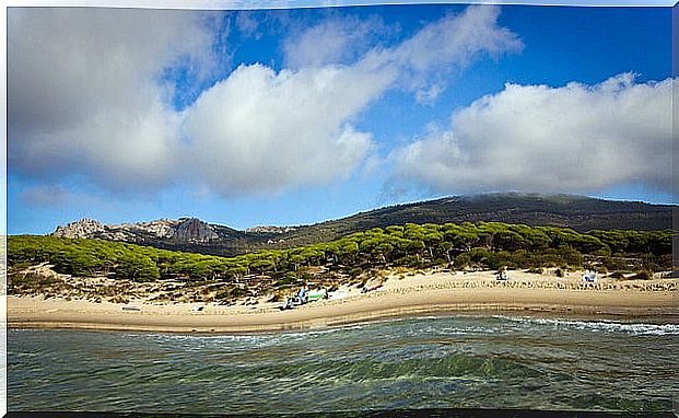 Bolonia beach in Cádiz