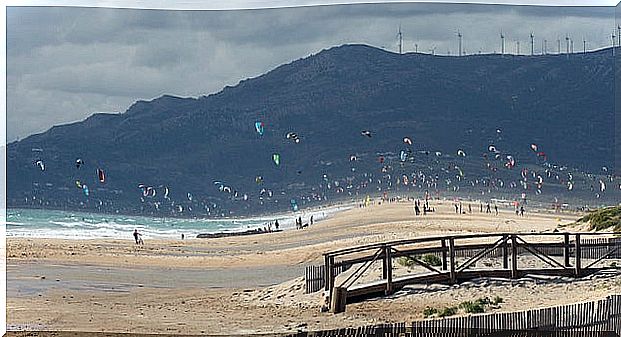 Punta Paloma beach in Cádiz