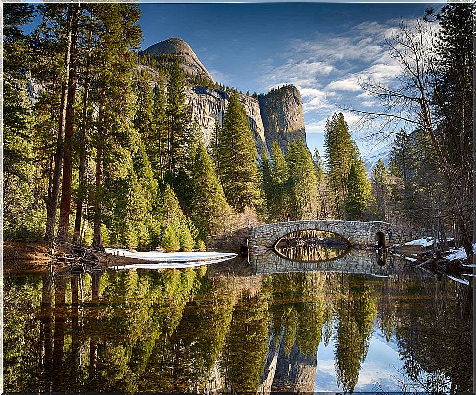 Yosemite Park, one of the caravan routes with children in America