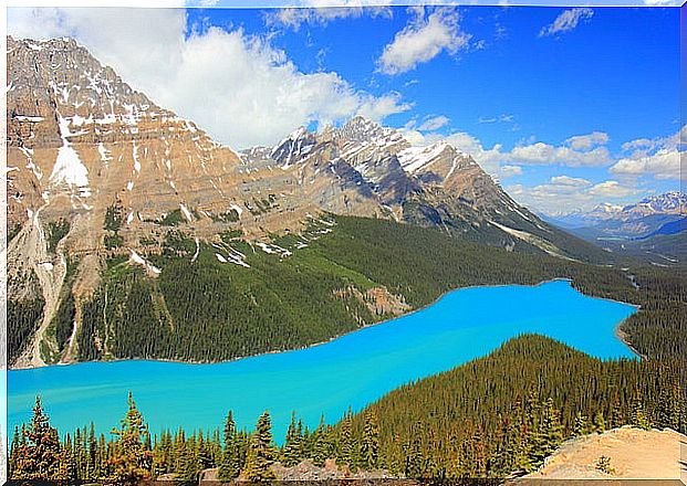 Peyto Lake in Canada