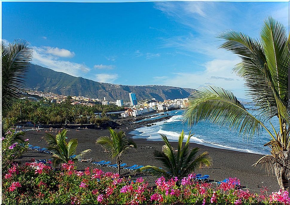 Puerto de la Cruz, one of the places to enjoy in Tenerife