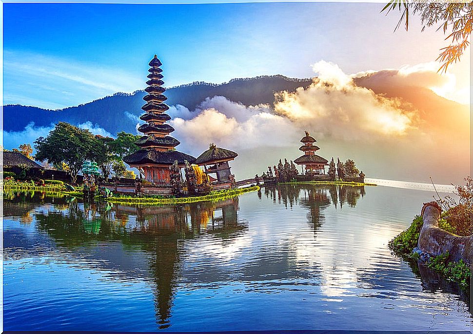 The best tips for your trip to Bali