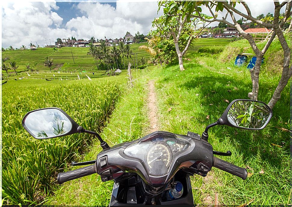 Motorbike in a rice field 