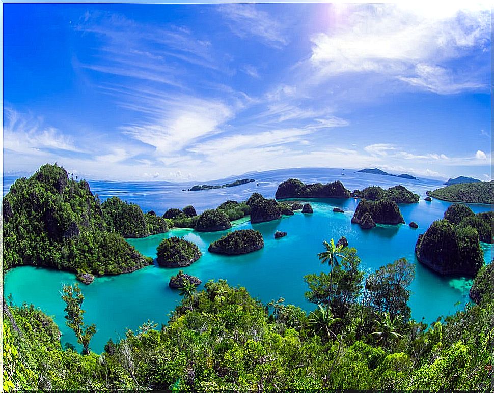 Pianemo Island of Indonesia.  The most beautiful view in the world?