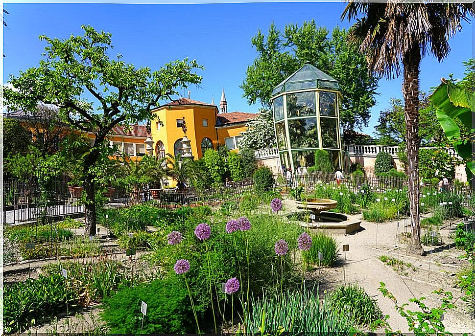 The Botanical Garden of Padua, a jewel of humanity