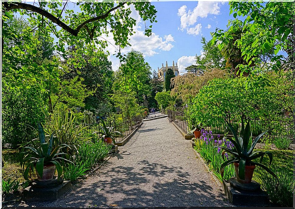 Botanical Garden of Padua