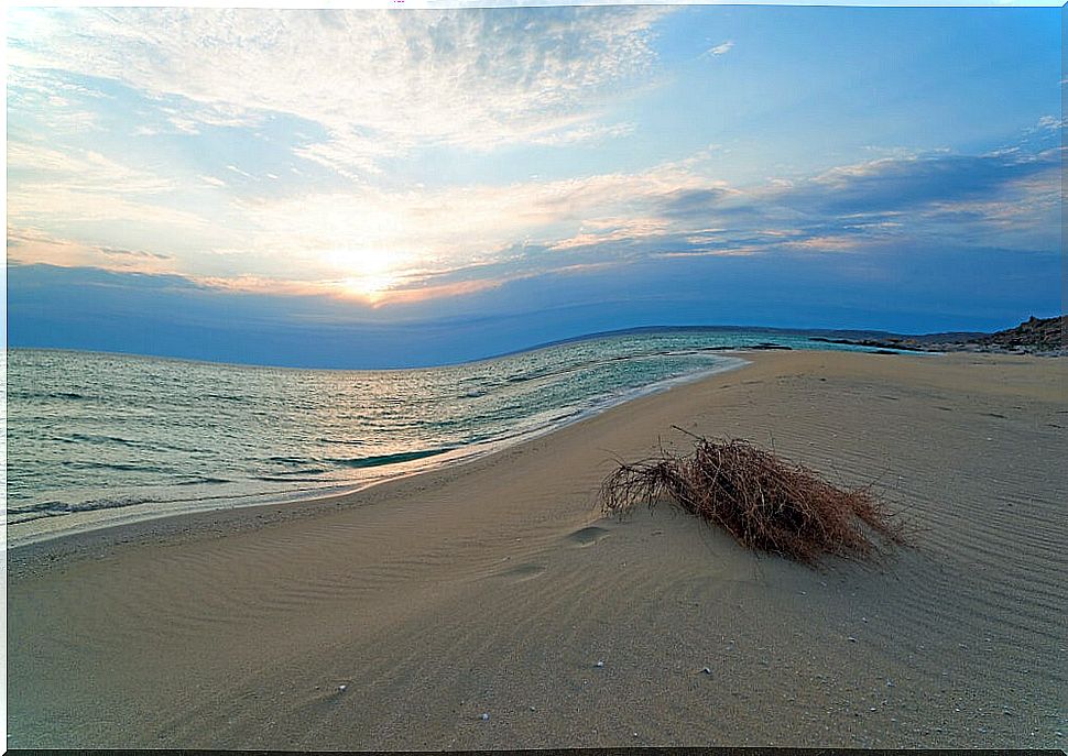 Caspian sea coast