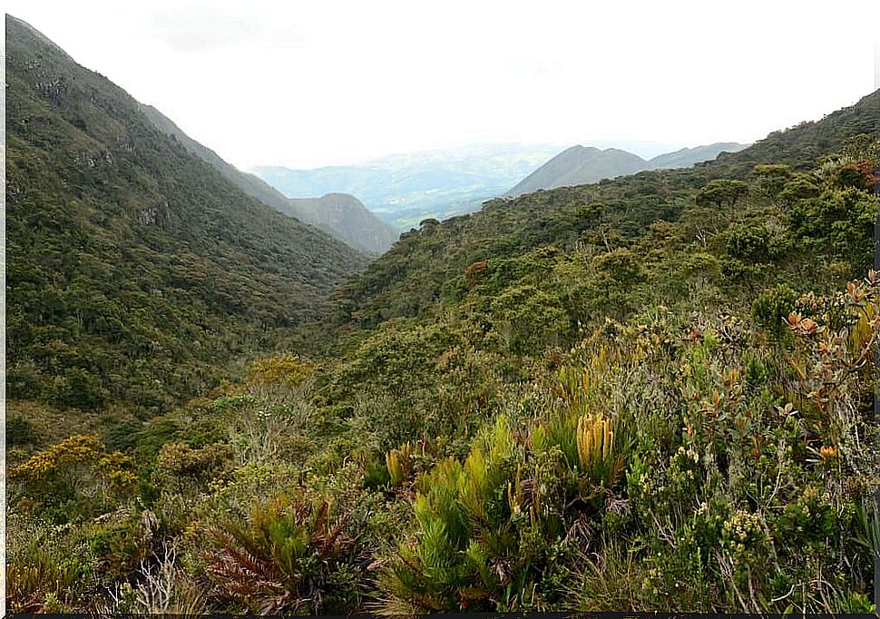 The charm of the Iguaque Sanctuary in Colombia