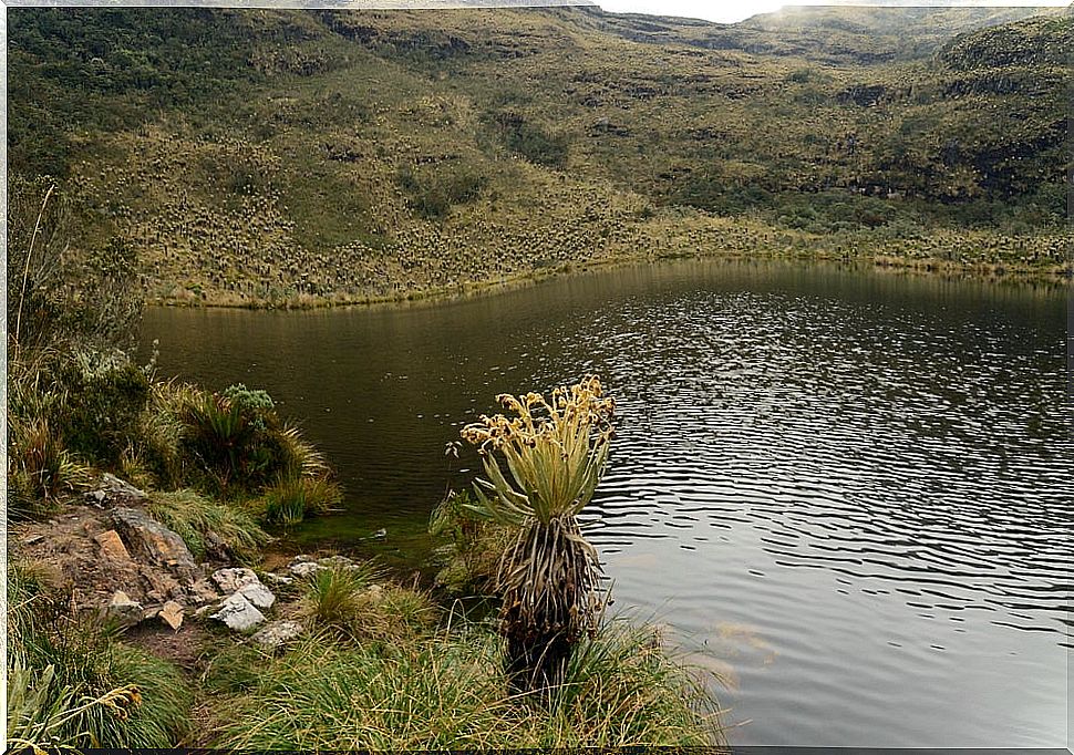 Iguaque Lagoon