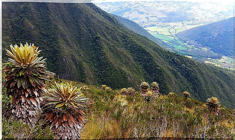 View of the Sanctuary of Iguaque