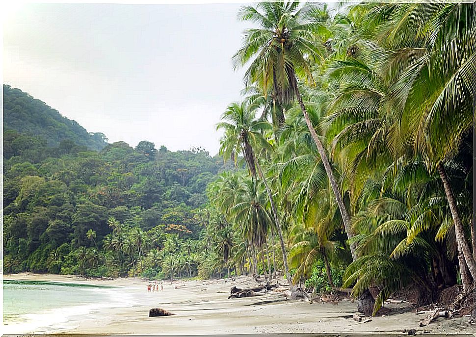 Gorgona Island in Colombia, from prison to paradise