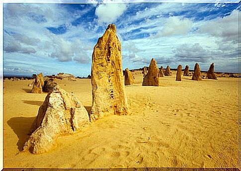 The fantastic desert of the Pinnacles in Australia