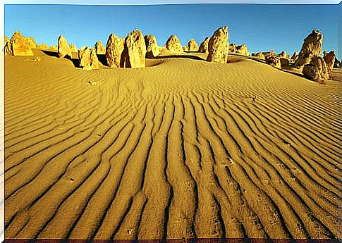 Pinnacles Desert 