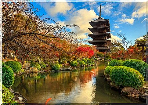 Kyoto, we visit the ancient Japanese capital