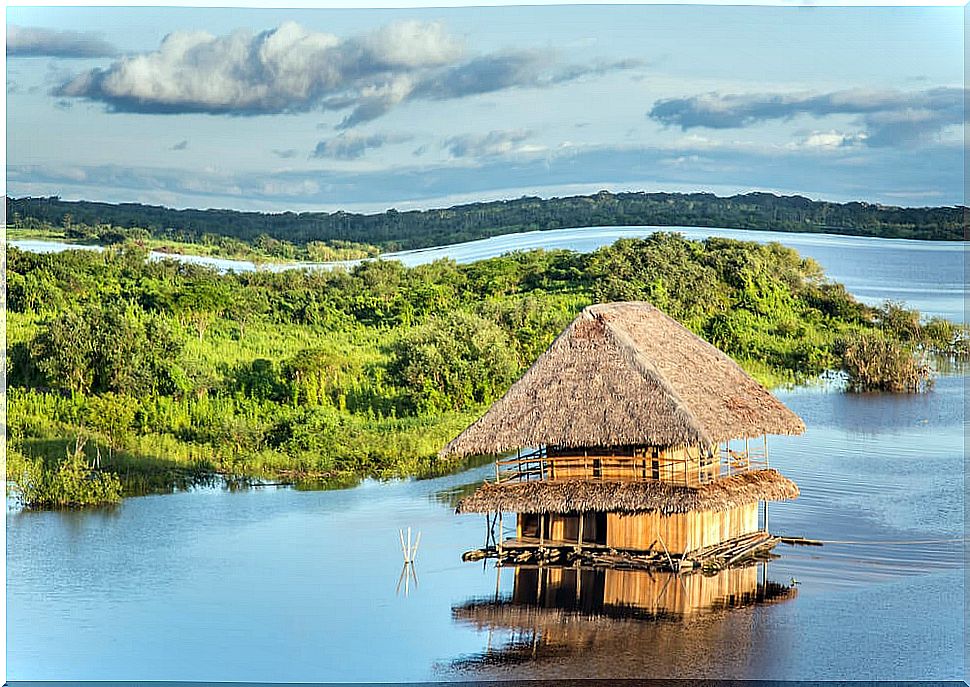 Amazon in Iquitos, Peru