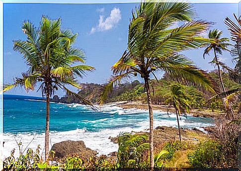 The exotic island of Capurganá in Colombia