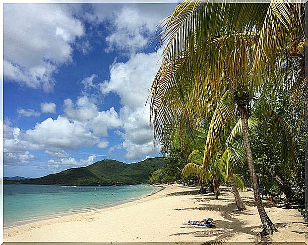 Sainte-Anne on the island of Martinique