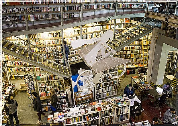 Ler Devagar, one of the most unique bookstores