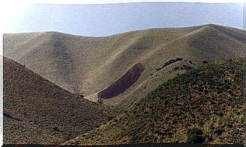 The famous "Footprint of the bird" that appeared in Capilla del Monte.