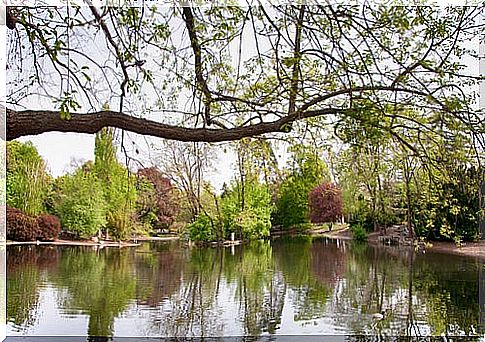 Stadtpark in Vienna