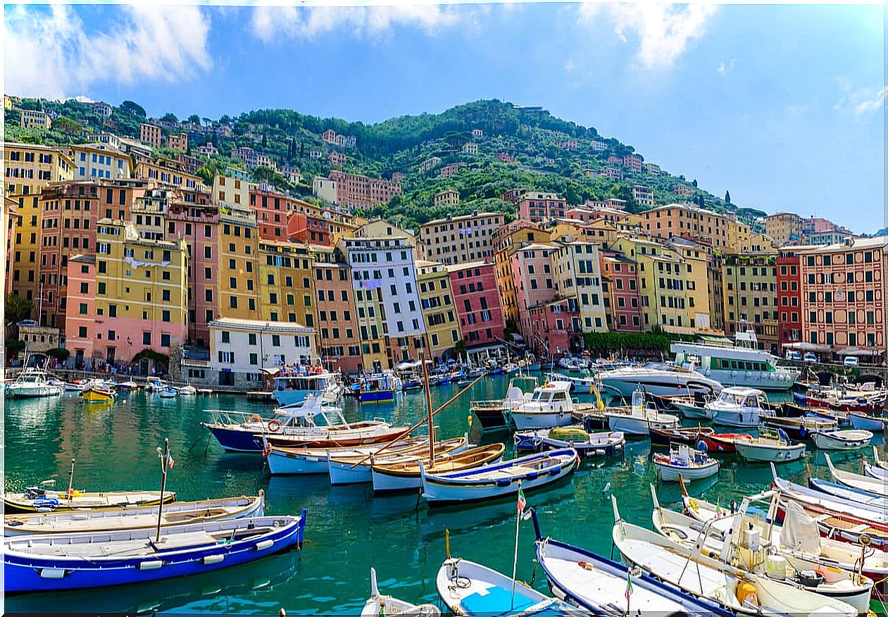 Crowd of white sailboats off the coast of Camogli.