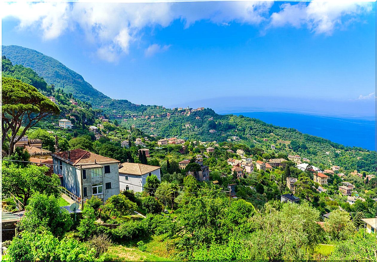 Camogli landscape, a place to relax.