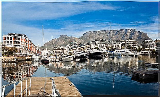 Boats in the harbor