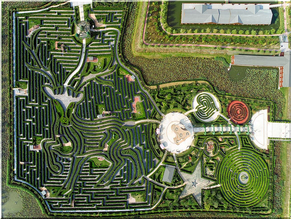 The Yancheng Dafeng Dream maze, the largest in the world