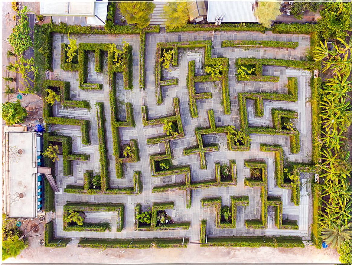 Top view of a maze.