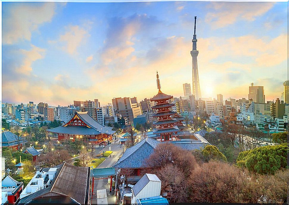 Tokyo in 2 days: a plan to enjoy the city