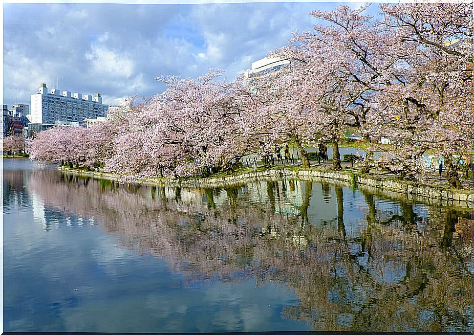 Ueno Park in Tokyo