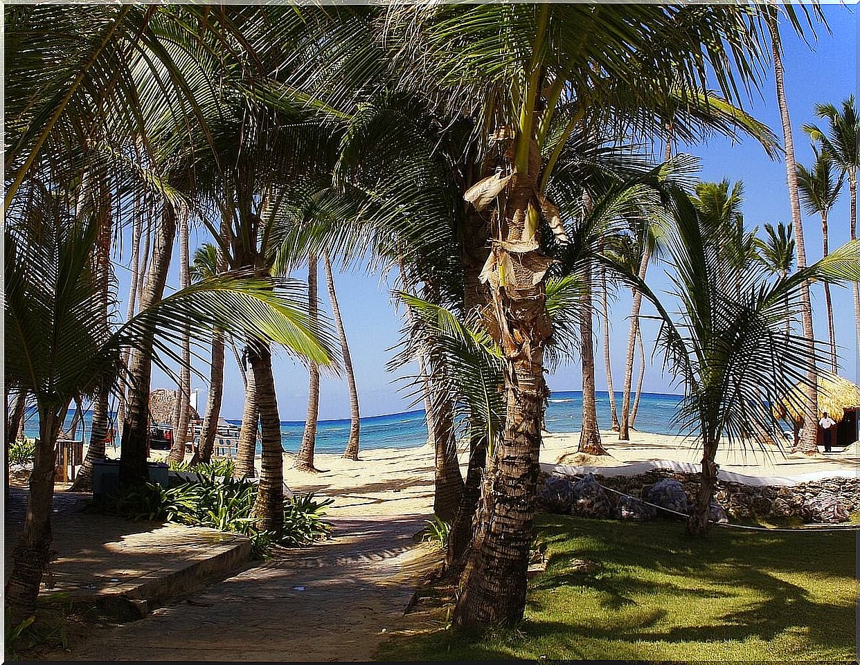 Beach in Punta Cana