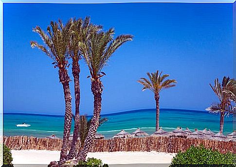 Djerba beach in Tunisia