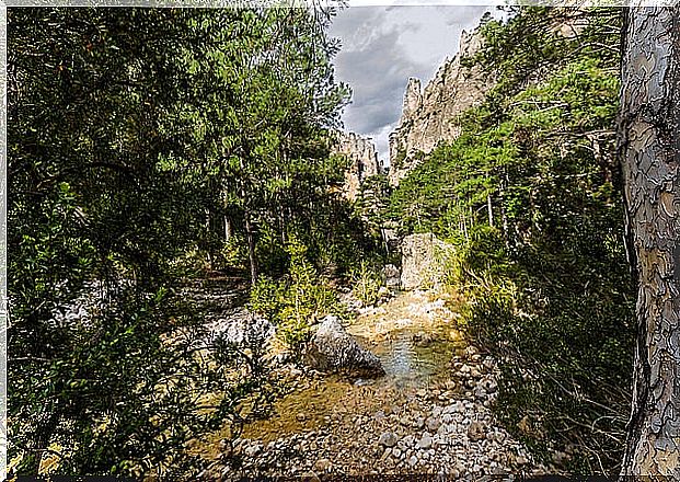 Matarraña River in Valderrobres