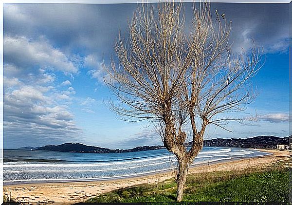 America Beach in Pontevedra