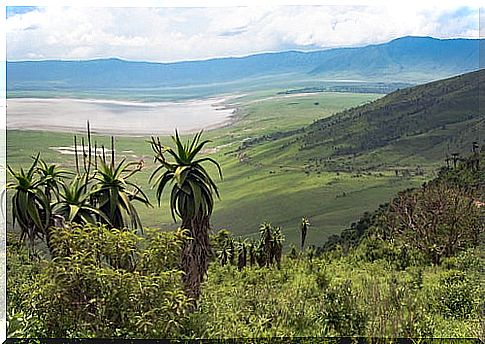 Ngorondoro Crater in Serengeti National Park