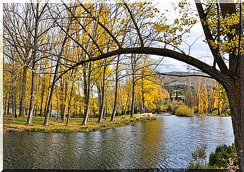 Duero River in Soria