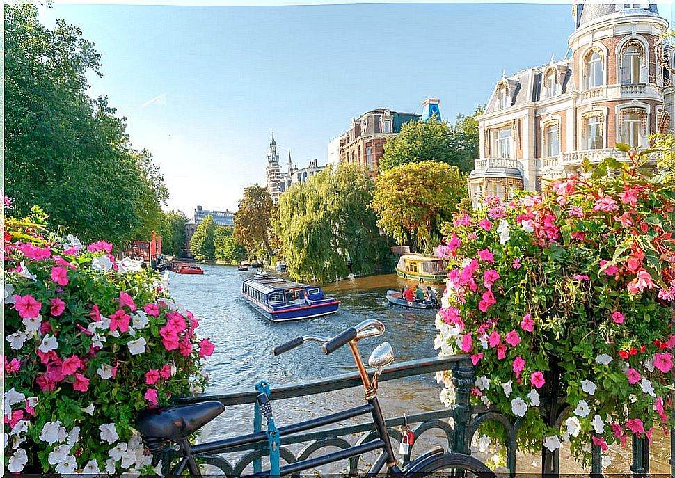 Canals of Amsterdam